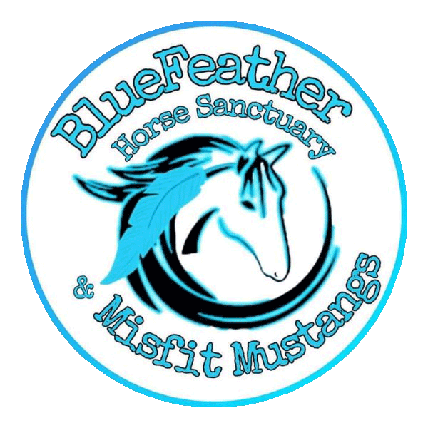 Bluefeather Horse Sanctuary